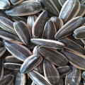 Precio de semilla de girasol de color negro tipo 361 chino de nueva cosecha 2019 por tonelada